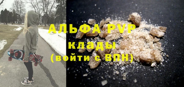 прущие грибы Козловка