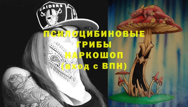 ПСИЛОЦИБИНОВЫЕ ГРИБЫ Куйбышев