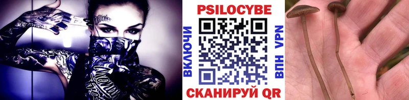 Псилоцибиновые грибы Psilocybe Называевск
