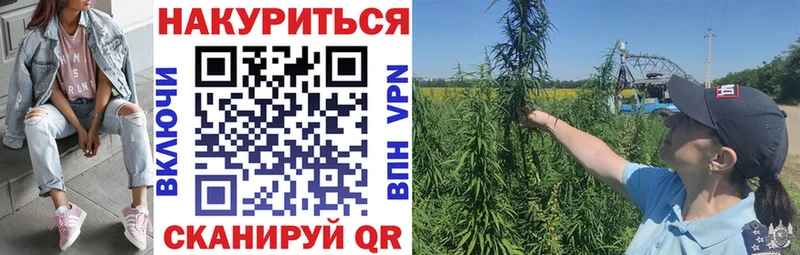 купить наркоту  ссылка на мегу ТОР  Бошки Шишки VHQ  Называевск 